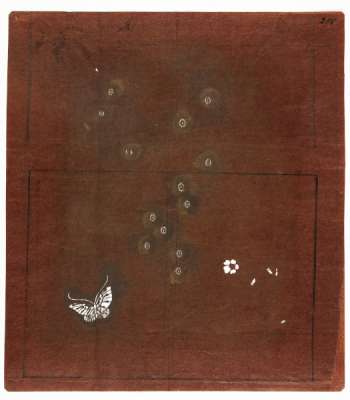 Katagami stencil with small scattered flowers or flower centres and a butterfly