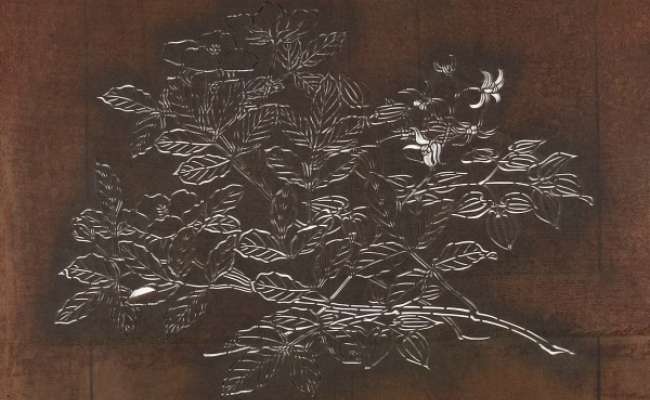Katagami stencil depicting a flowering magnolia branch with another flowering plant in the  background