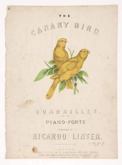 The Canary Bird, Quadrilles