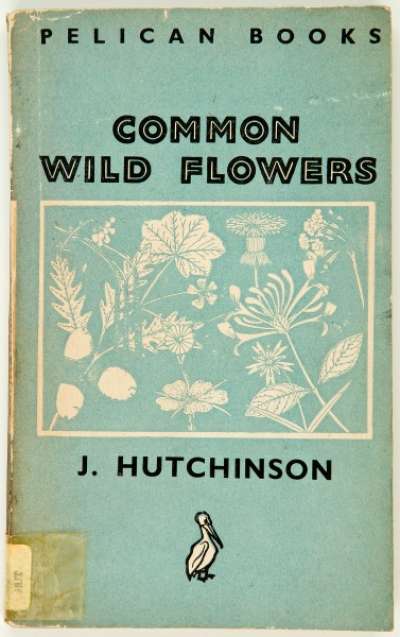 Common Wild Flowers