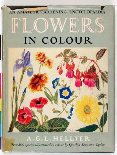 Flowers in Colour: An Amateur Gardening Encyclopedia