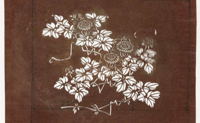 Embrodery Katagami stencil depicting flowering chrysanthemum stems
