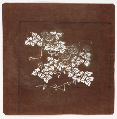 Embrodery Katagami stencil depicting flowering chrysanthemum stems