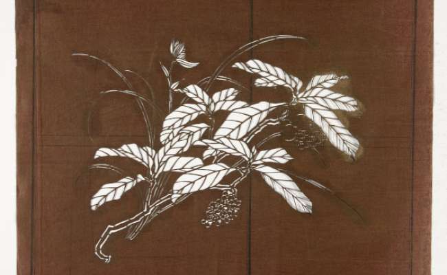 Katagami stencil depicting two flowering plants
