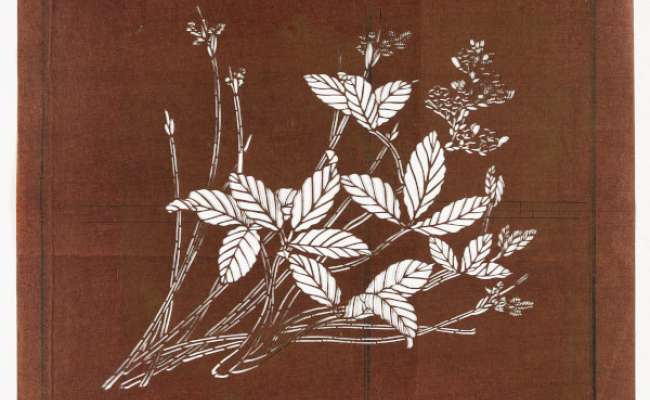 Katagami stencil depicting a flowering stem and a grass