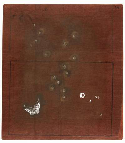 Katagami stencil with small scattered flowers or flower centres and a butterfly