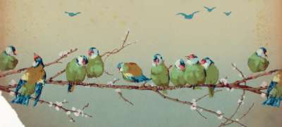 Love bird wallpaper frieze