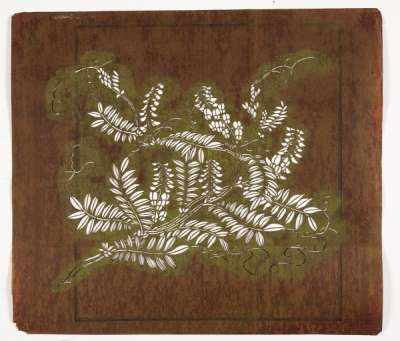Katagami stencil depicting a flowering wisteria stem