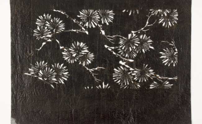 Katagami stencil depicting pine tree branches with sprays of needles