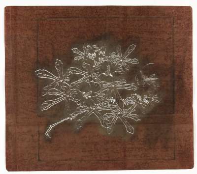 Katagami stencil depicting a flowering hibiscus branch on which there is a cricket
