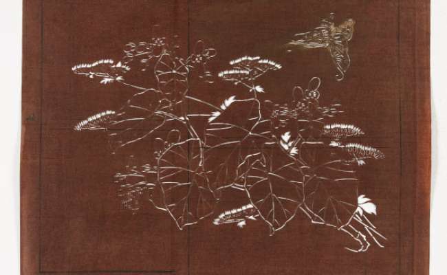 Katagami stencil depicting an umble and another plant with a butterfly flying over