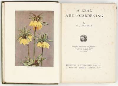 A Real ABC of Gardening
