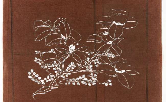 Katagami stencil depicting flowering stems of bush clover and another plant