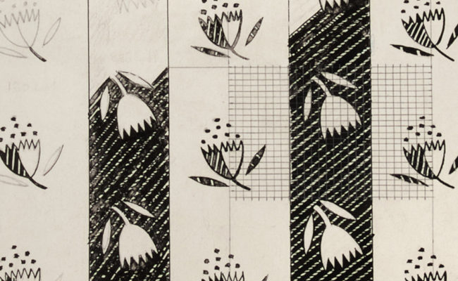 Drawing for Astrantia textile design by Enid Marx, 1946