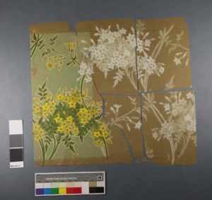 design sketch of jasmines for wallpaper before conservation