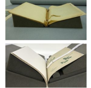 Ogawa album before and after conservation re-binding
