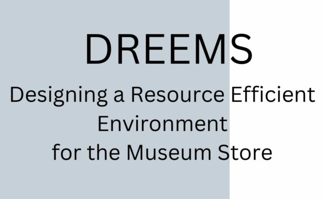 Launching the DREEMS project